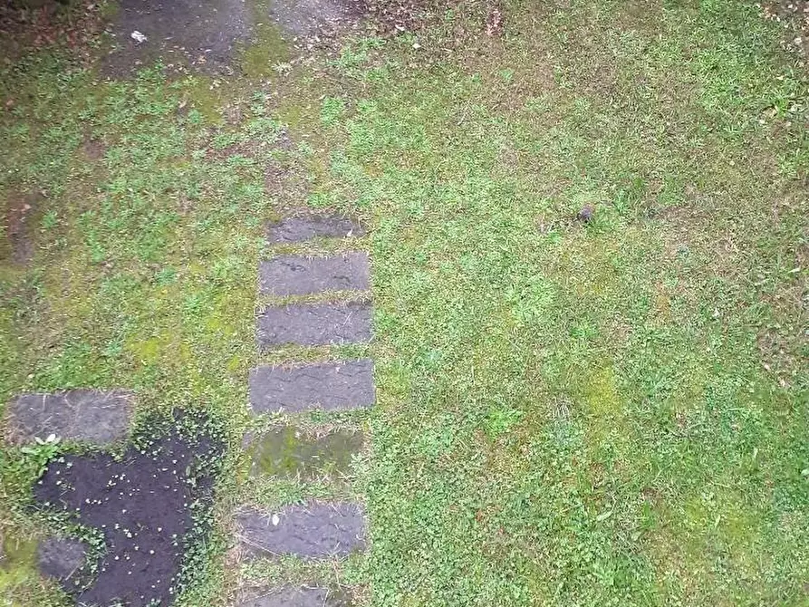 Immagine 19 di Casa bifamiliare in vendita  a Massa