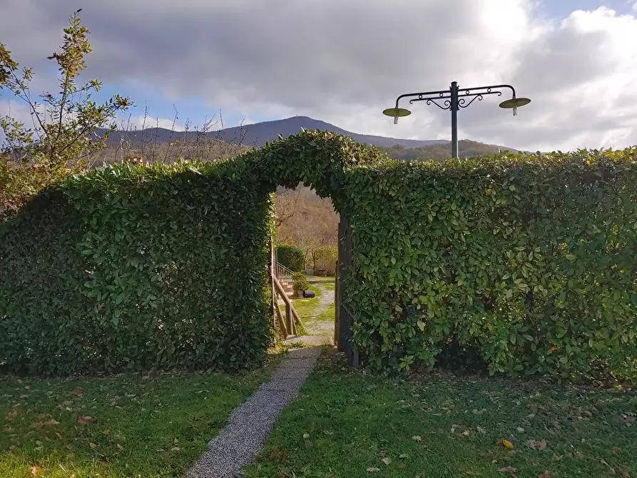Immagine 22 di Casa colonica in vendita  a Radicofani