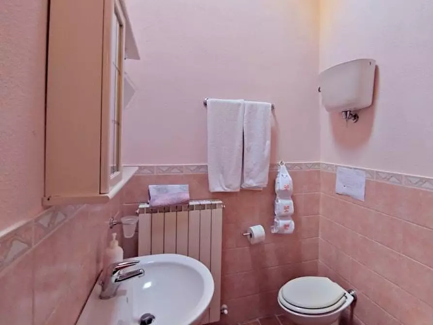 Immagine 36 di Casa colonica in vendita  a Radicofani