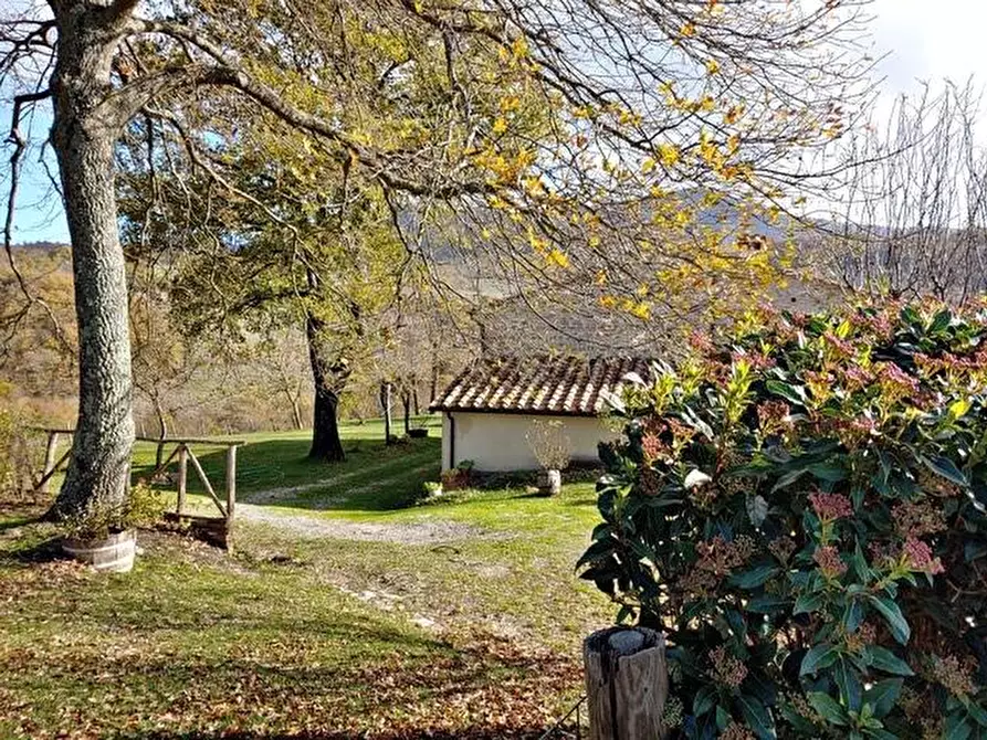 Immagine 12 di Casa colonica in vendita  a Radicofani