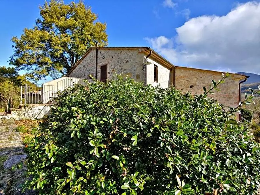Immagine 1 di Casa colonica in vendita  a Radicofani