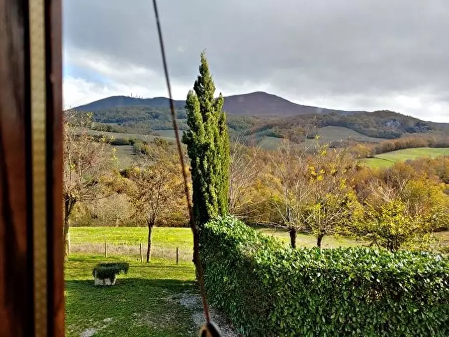 Immagine 40 di Casa colonica in vendita  a Radicofani