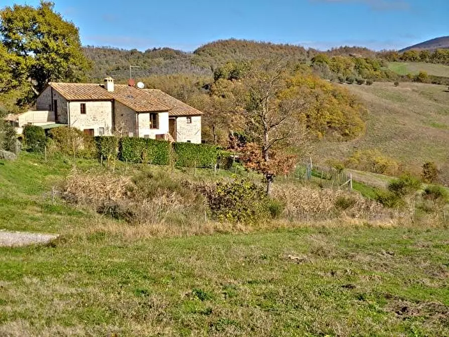 Immagine 29 di Casa colonica in vendita  a Radicofani