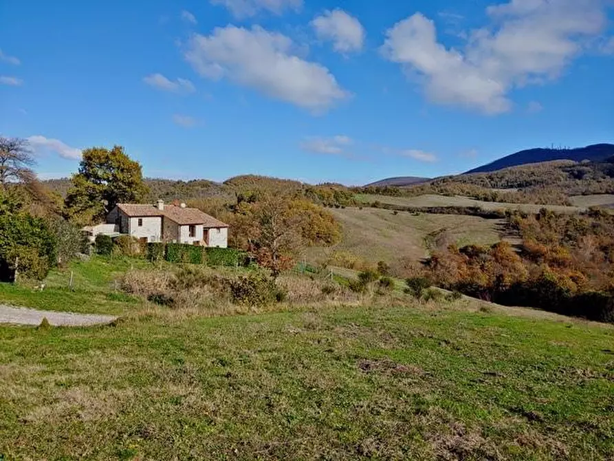 Immagine 30 di Casa colonica in vendita  a Radicofani