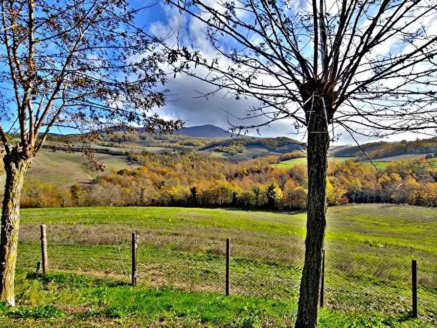 Immagine 7 di Casa colonica in vendita  a Radicofani