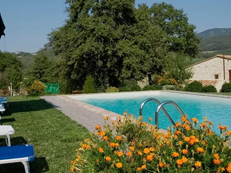 Immagine 21 di Casa colonica in vendita  a Radicofani