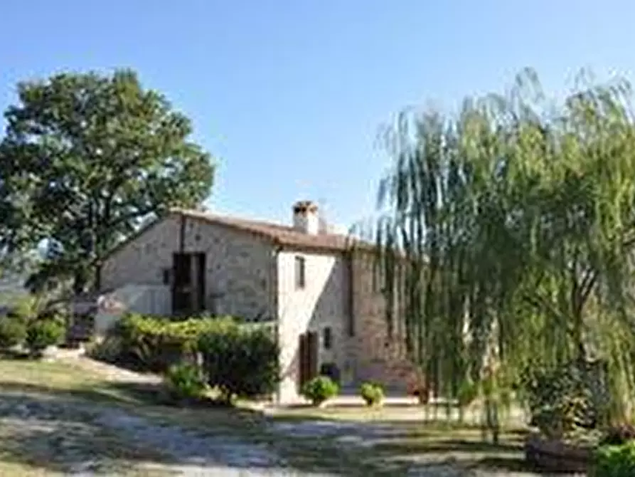 Immagine 20 di Casa colonica in vendita  a Radicofani