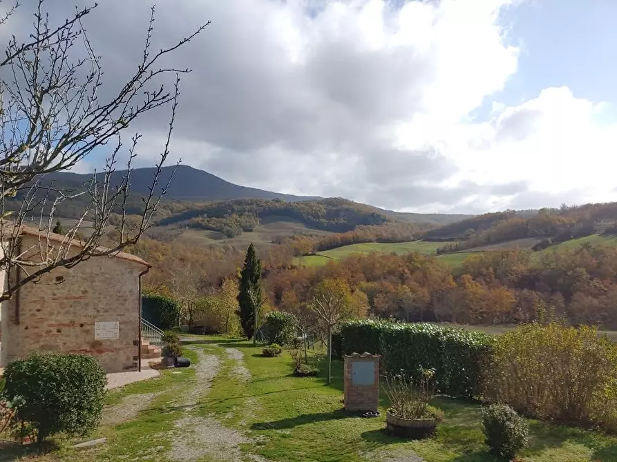 Immagine 25 di Casa colonica in vendita  a Radicofani
