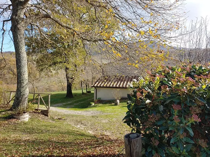 Immagine 23 di Casa colonica in vendita  a Radicofani