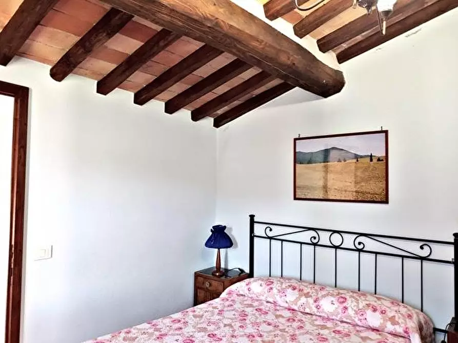 Immagine 43 di Casa colonica in vendita  a Radicofani