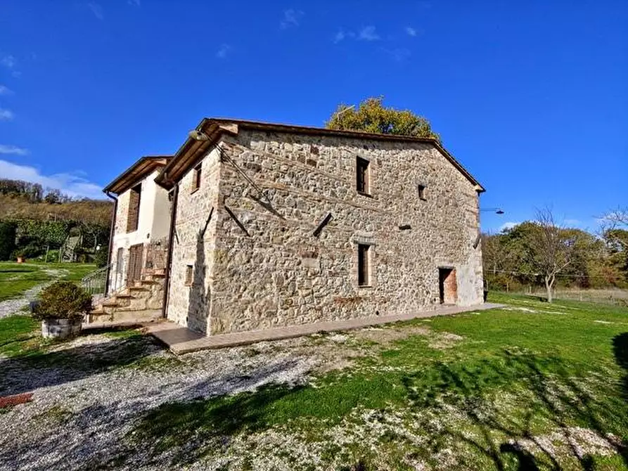 Immagine 9 di Casa colonica in vendita  a Radicofani