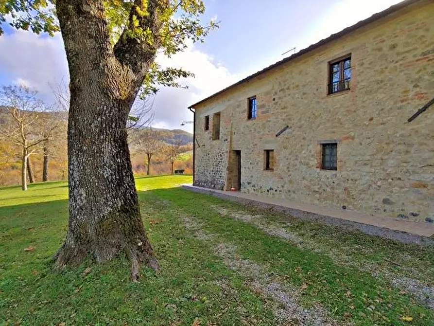 Immagine 4 di Casa colonica in vendita  a Radicofani