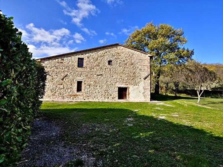 Immagine 6 di Casa colonica in vendita  a Radicofani