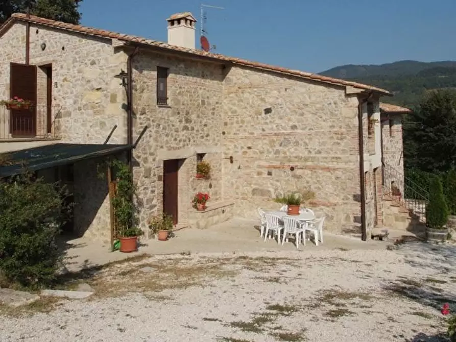 Immagine 16 di Casa colonica in vendita  a Radicofani