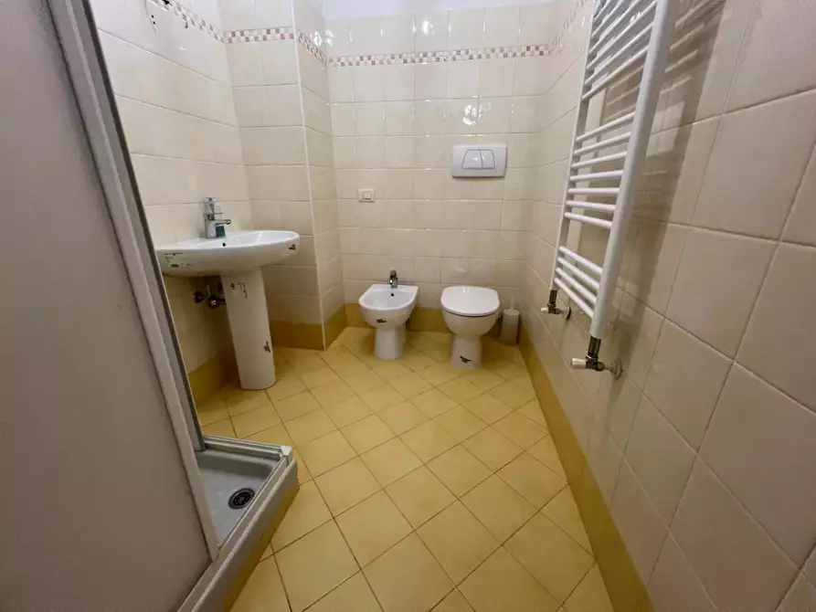 Immagine 17 di Appartamento in vendita  a Camaiore