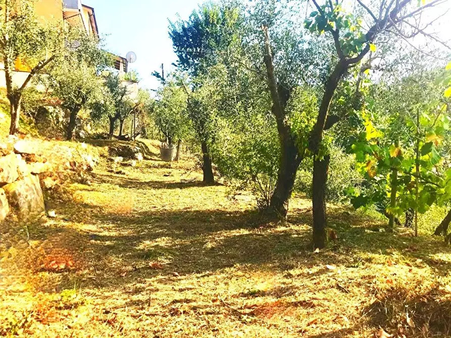 Immagine 36 di Casa indipendente in vendita  a Carrara