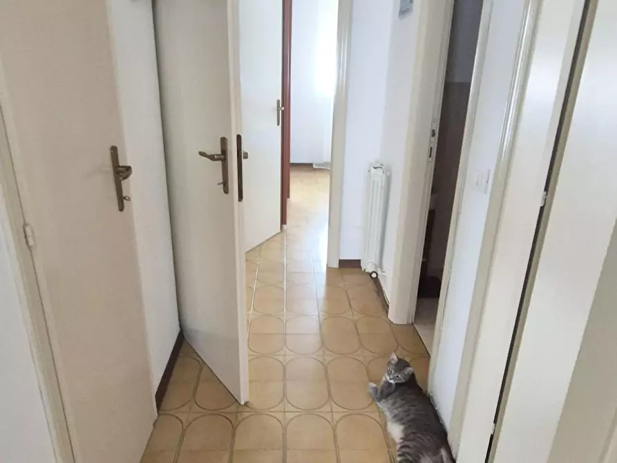 Immagine 58 di Appartamento in vendita  a Viareggio