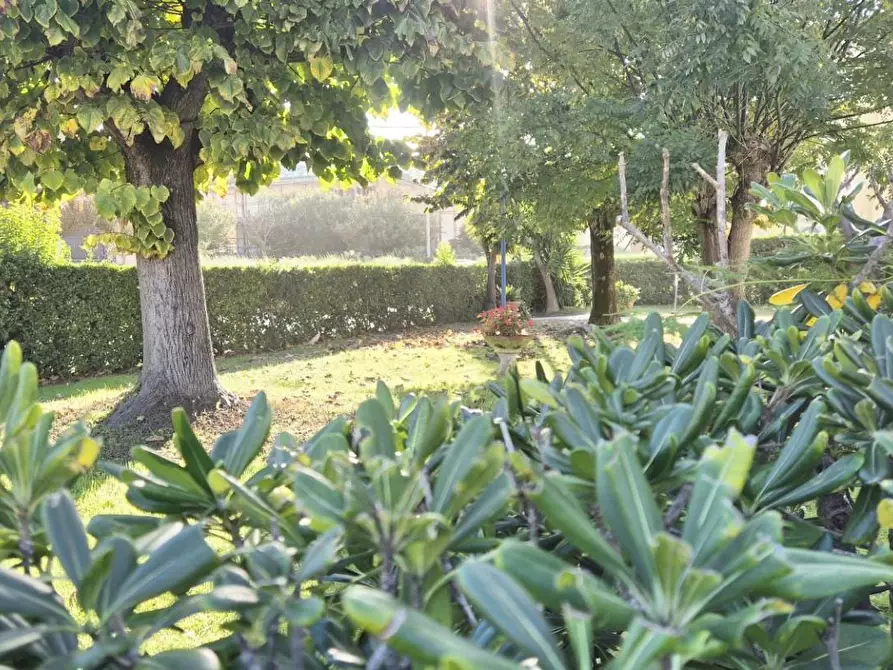 Immagine 1 di Appartamento in vendita  a Viareggio