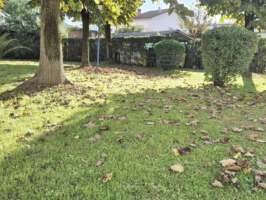 Immagine 3 di Appartamento in vendita  a Viareggio