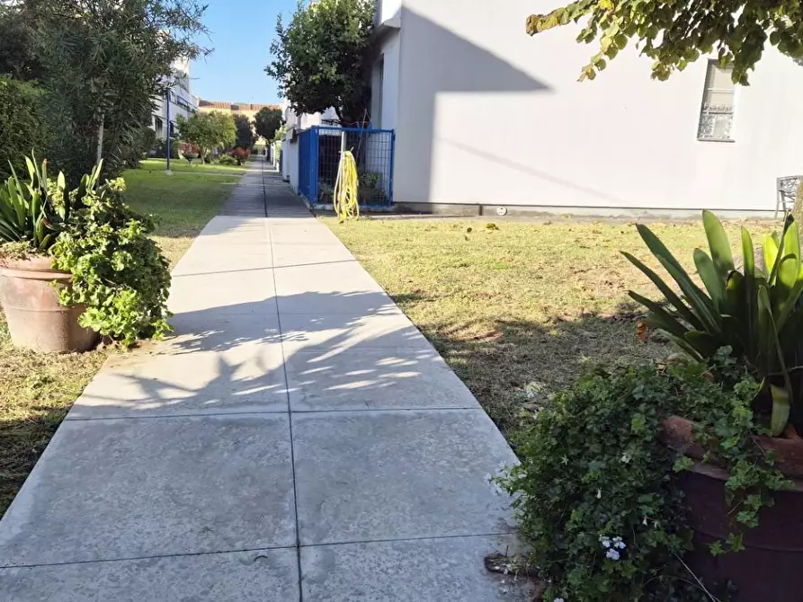 Immagine 86 di Appartamento in vendita  a Viareggio