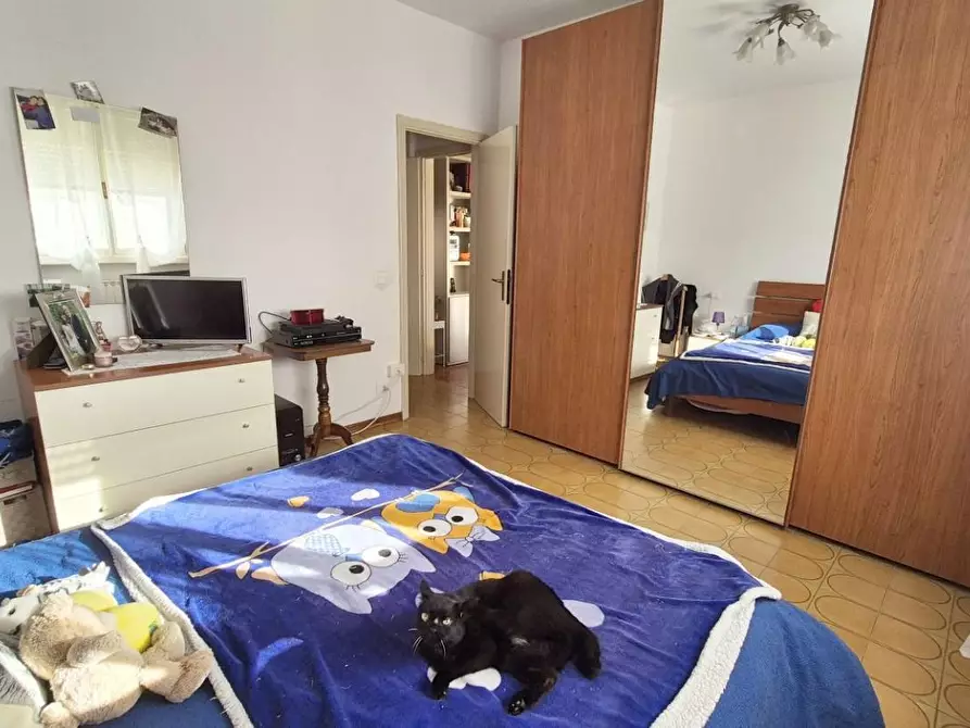 Immagine 49 di Appartamento in vendita  a Viareggio