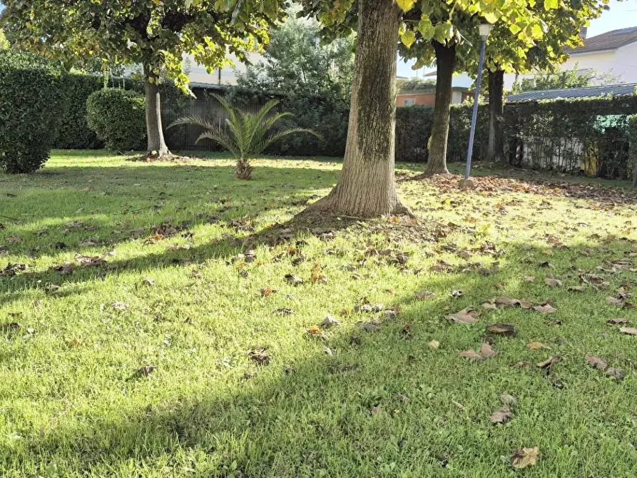 Immagine 82 di Appartamento in vendita  a Viareggio