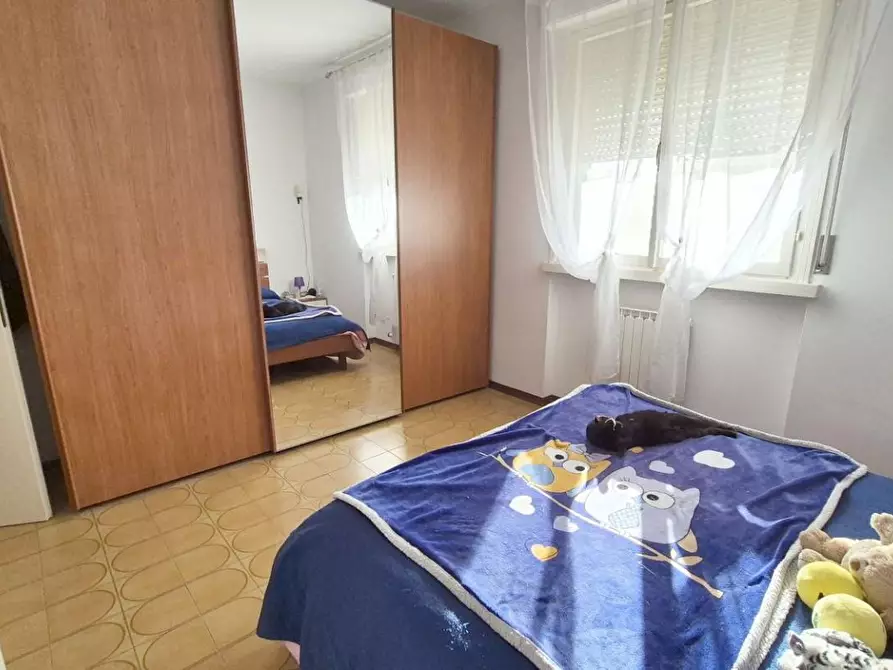 Immagine 46 di Appartamento in vendita  a Viareggio