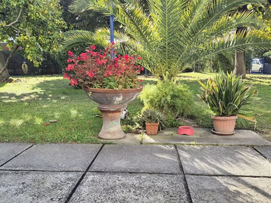 Immagine 87 di Appartamento in vendita  a Viareggio