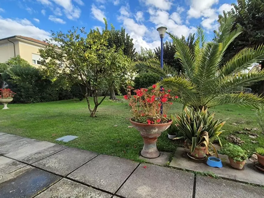 Immagine 84 di Appartamento in vendita  a Viareggio