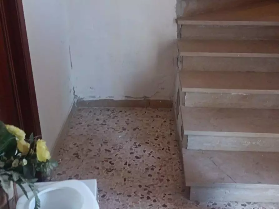 Immagine 21 di Terratetto in vendita  a Peccioli