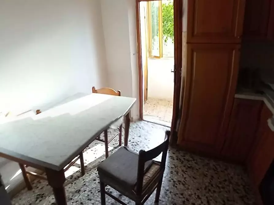 Immagine 8 di Terratetto in vendita  a Peccioli