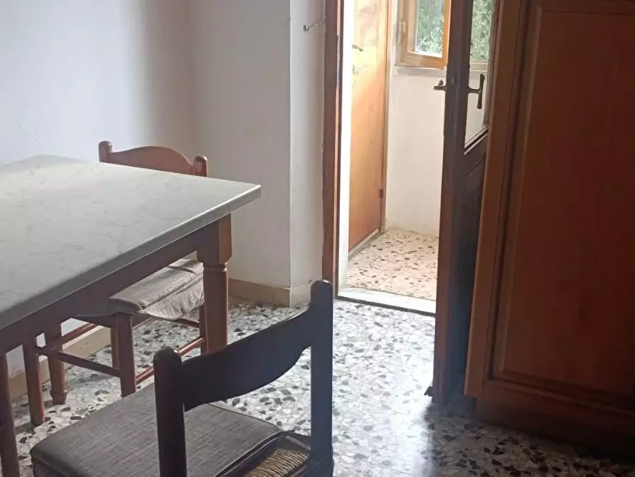 Immagine 10 di Terratetto in vendita  a Peccioli