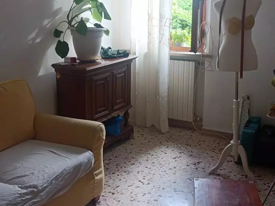 Immagine 12 di Terratetto in vendita  a Peccioli