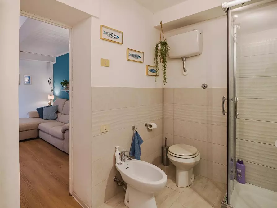 Immagine 44 di Terratetto in vendita  a Pisa