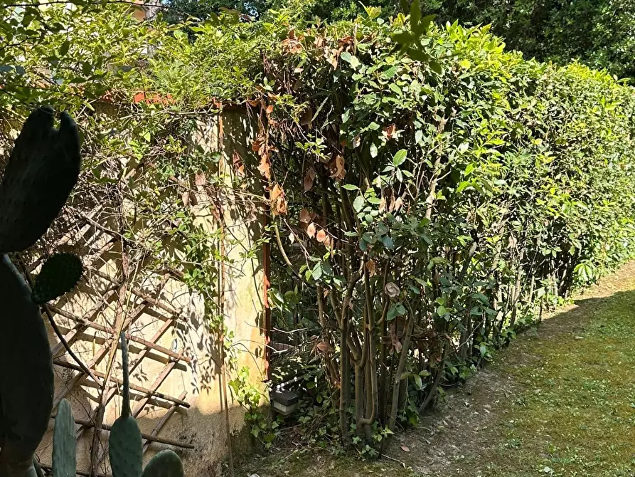 Immagine 7 di Villetta a schiera in vendita  a Massa