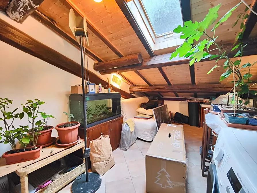 Immagine 25 di Appartamento in vendita  a Pisa