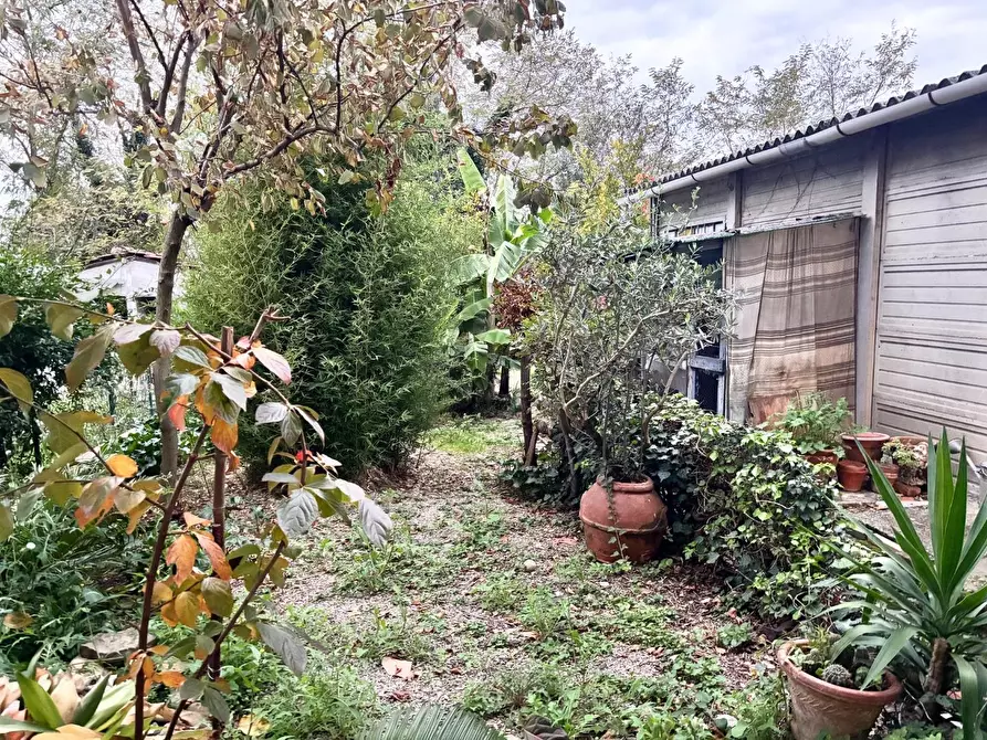 Immagine 4 di Terratetto in vendita  a Montelupo Fiorentino