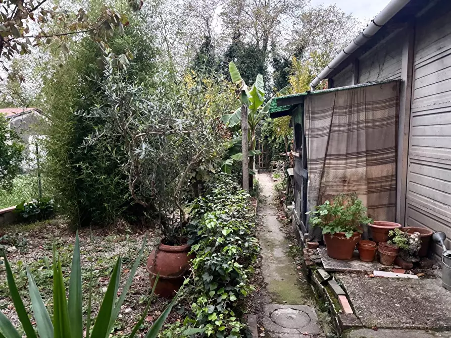 Immagine 33 di Terratetto in vendita  a Montelupo Fiorentino