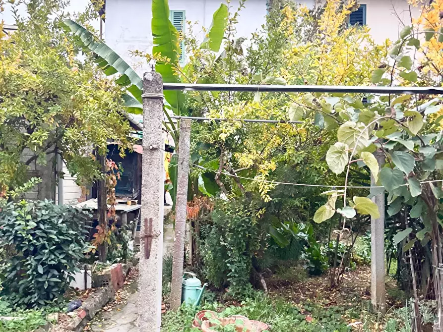 Immagine 6 di Terratetto in vendita  a Montelupo Fiorentino