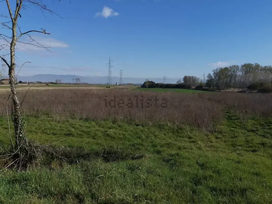 Immagine 6 di Terreno agricolo in vendita  a Bientina