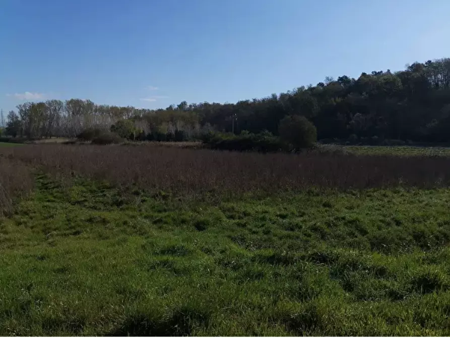 Immagine 1 di Terreno agricolo in vendita  a Bientina