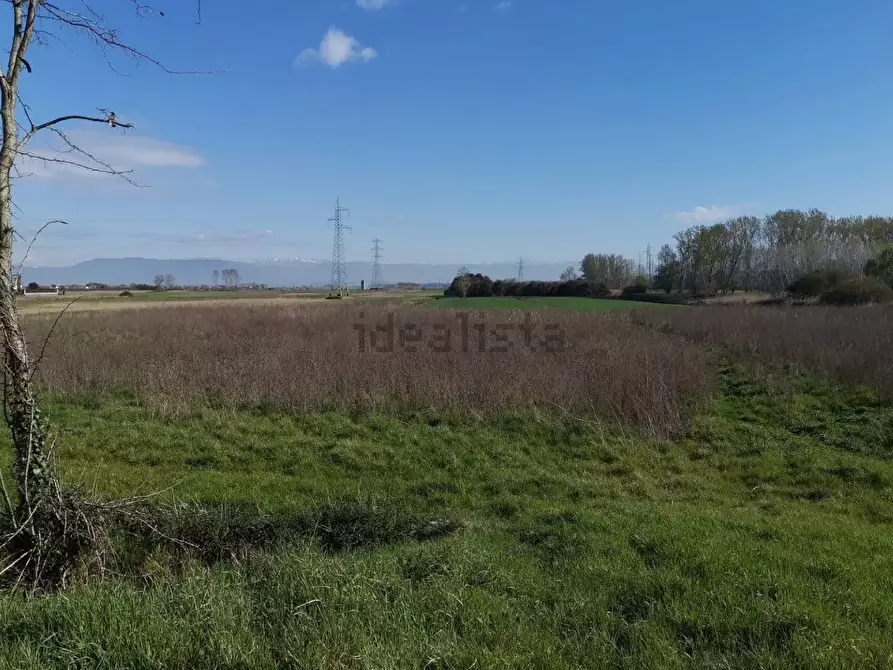Immagine 8 di Terreno agricolo in vendita  a Bientina
