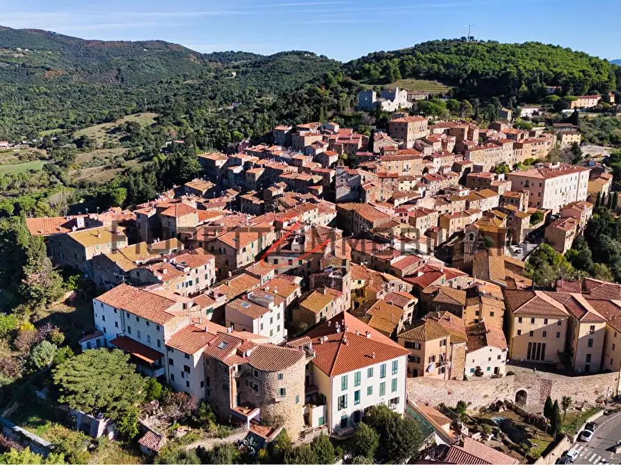 Immagine 30 di Appartamento in vendita  a Campiglia Marittima