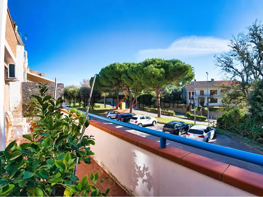 Immagine 6 di Appartamento in vendita  a Campiglia Marittima