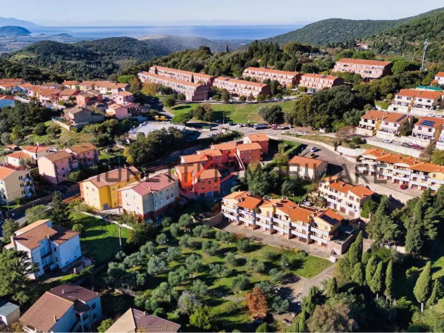 Immagine 2 di Appartamento in vendita  a Campiglia Marittima