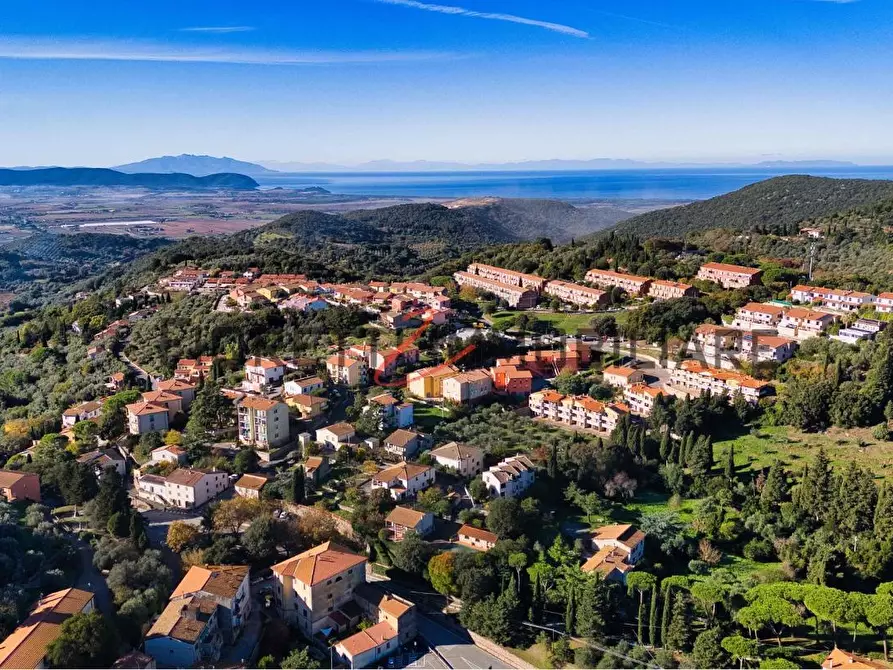 Immagine 27 di Appartamento in vendita  a Campiglia Marittima