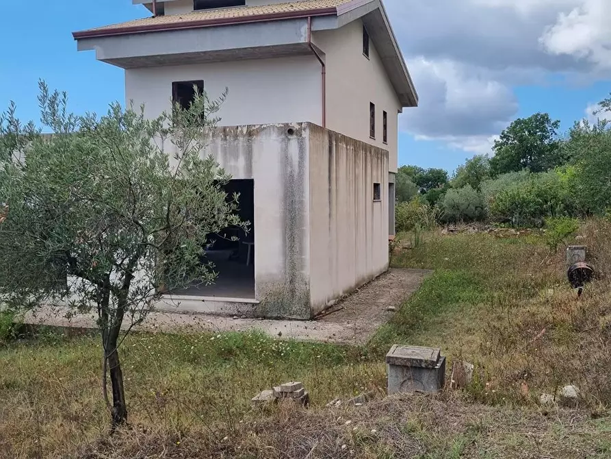 Immagine 2 di Casa colonica in vendita  a Formia