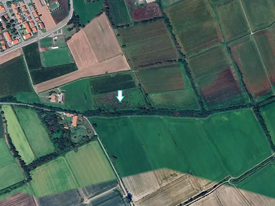 Immagine 1 di Terreno agricolo in vendita  a Ozzero