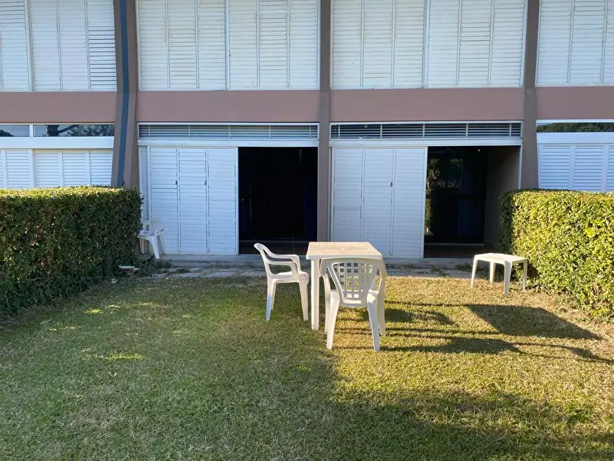 Immagine 15 di Appartamento in vendita  a Bibbona