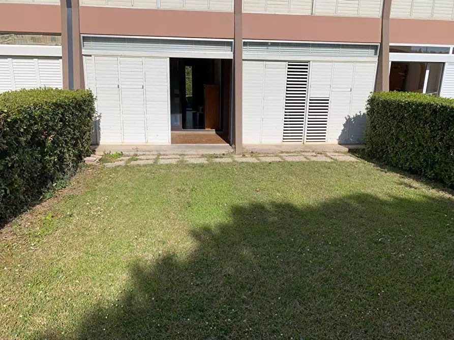 Immagine 2 di Appartamento in vendita  a Bibbona